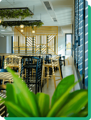 Frame 1321314646 (3)