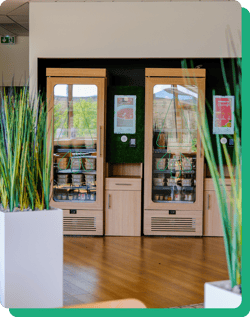 Frame 1321314657 (2)